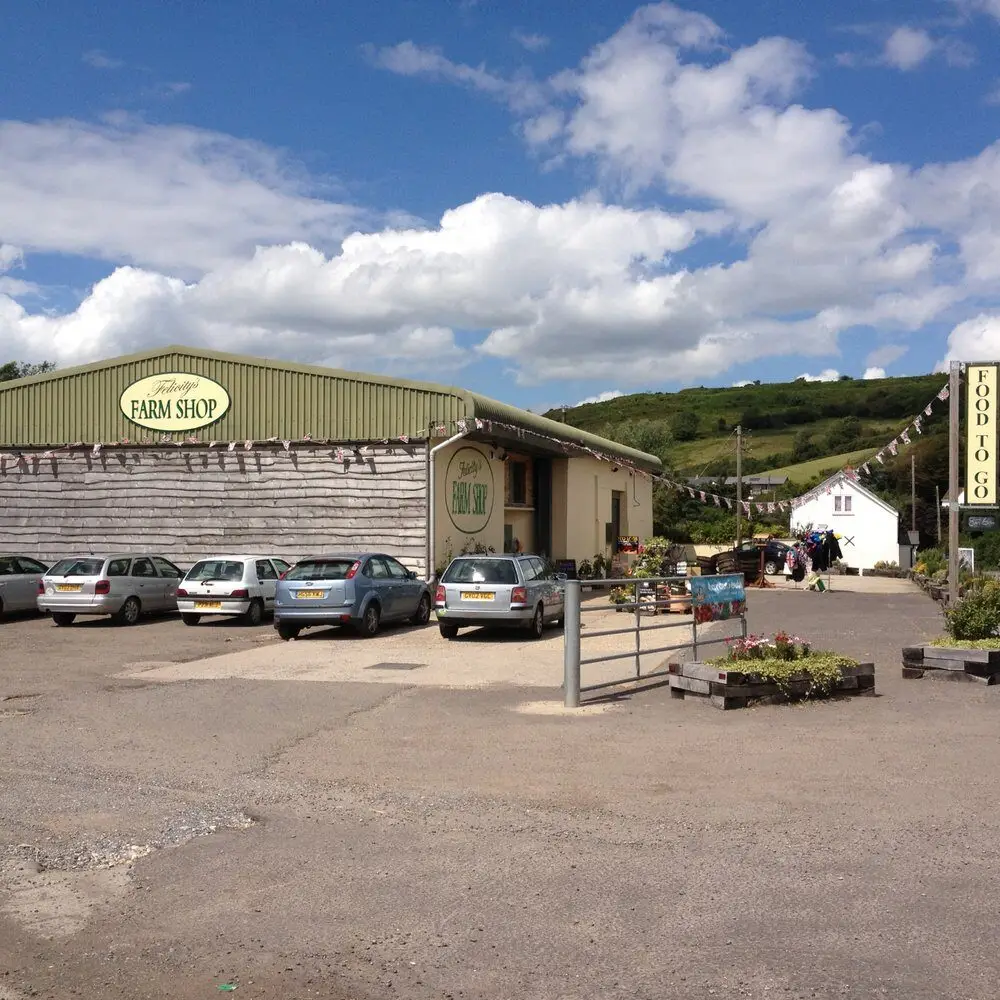 braunton